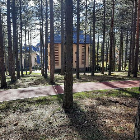 شقة Zlatibor M المظهر الخارجي الصورة