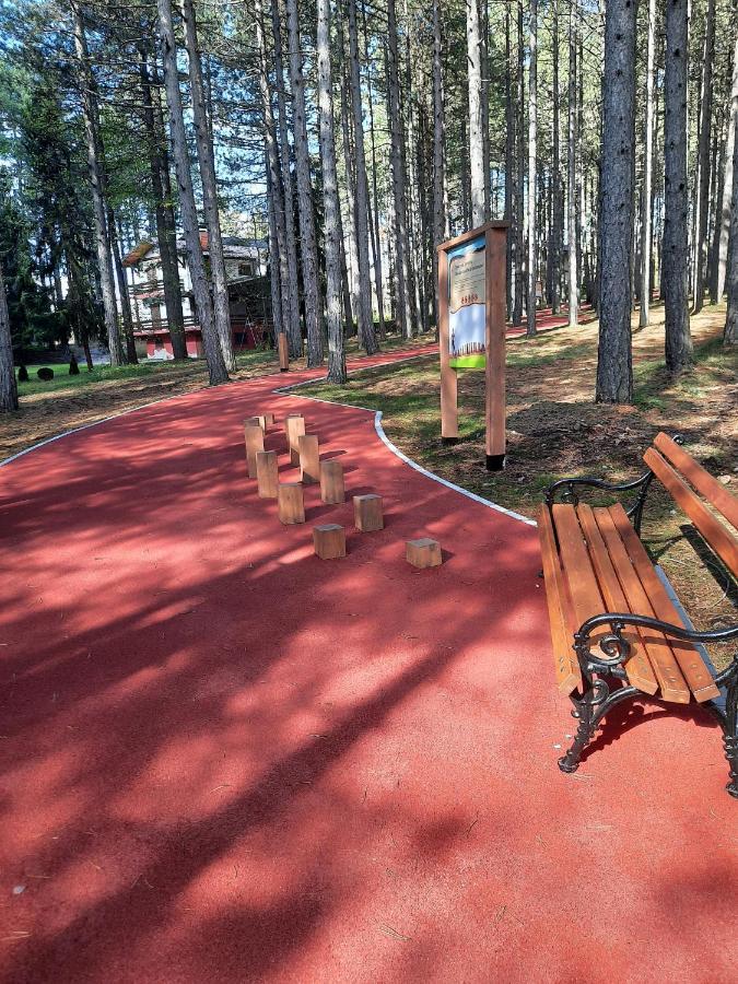 شقة Zlatibor M المظهر الخارجي الصورة