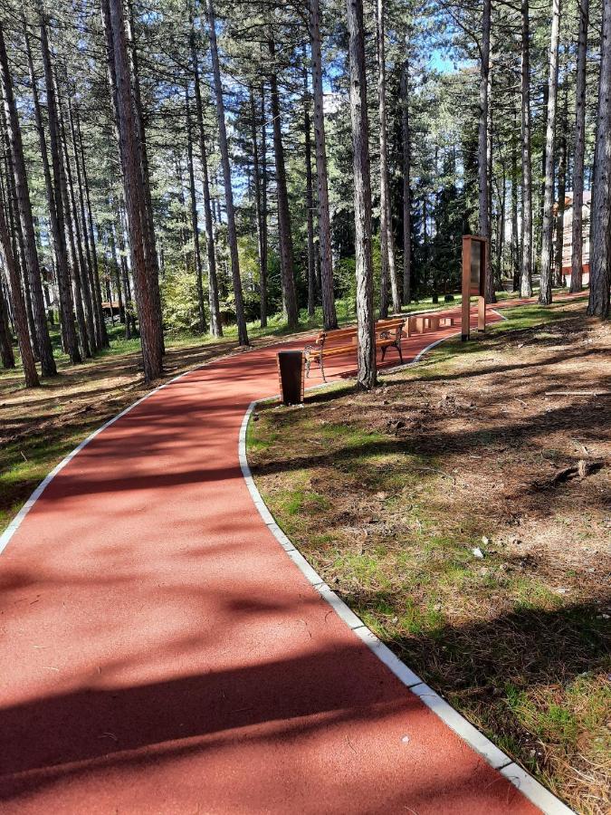 شقة Zlatibor M المظهر الخارجي الصورة
